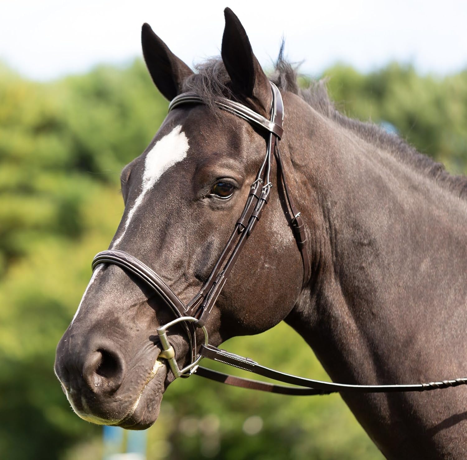 Saga Adjustable Padded Fancy Stitched Hunter Bridle with Reins