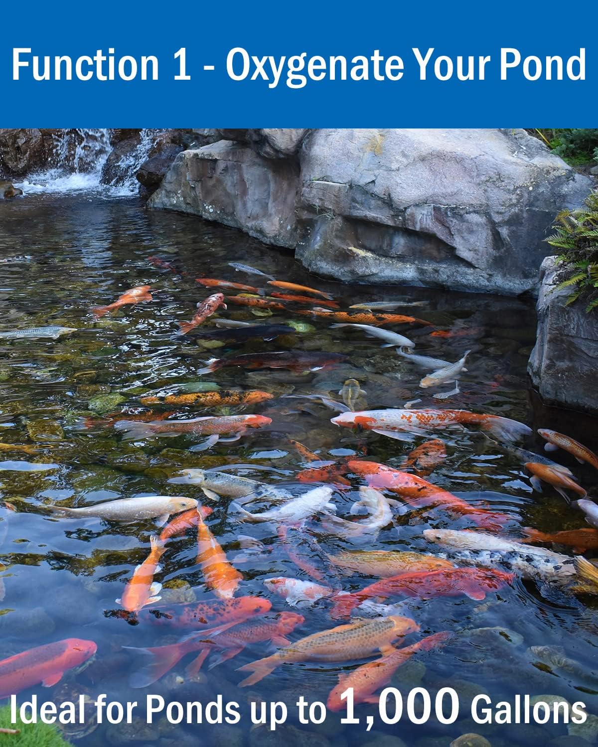 All-in-One Koi Pond Aerator for Outdoor Ponds up to 1000 Gallons, Pond Air Pump Pond Aeration System with Double