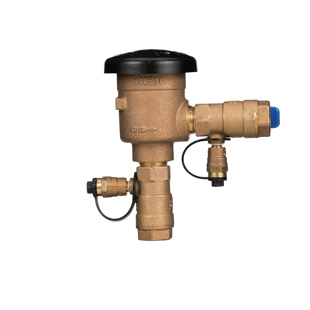 Zurn Wilkins 34-350 3/4" 350 Double Check & 1-720A 1" 720A Pressure Vacuum Breaker Assemblies Backflow Preventer Bundle