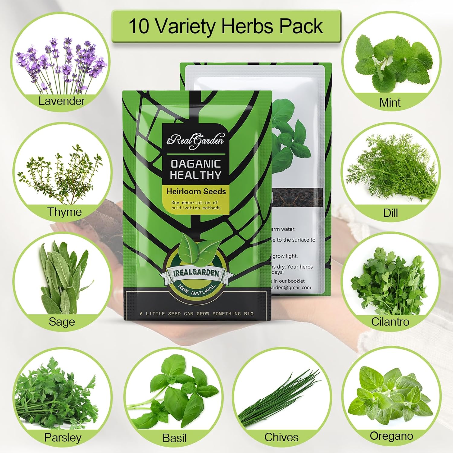 Indoor Herb Garden Kit – 10 Non-GMO Herb Seeds with Soil, Pots & Moisture Meter – Easy Windowsill Gardening Starter
