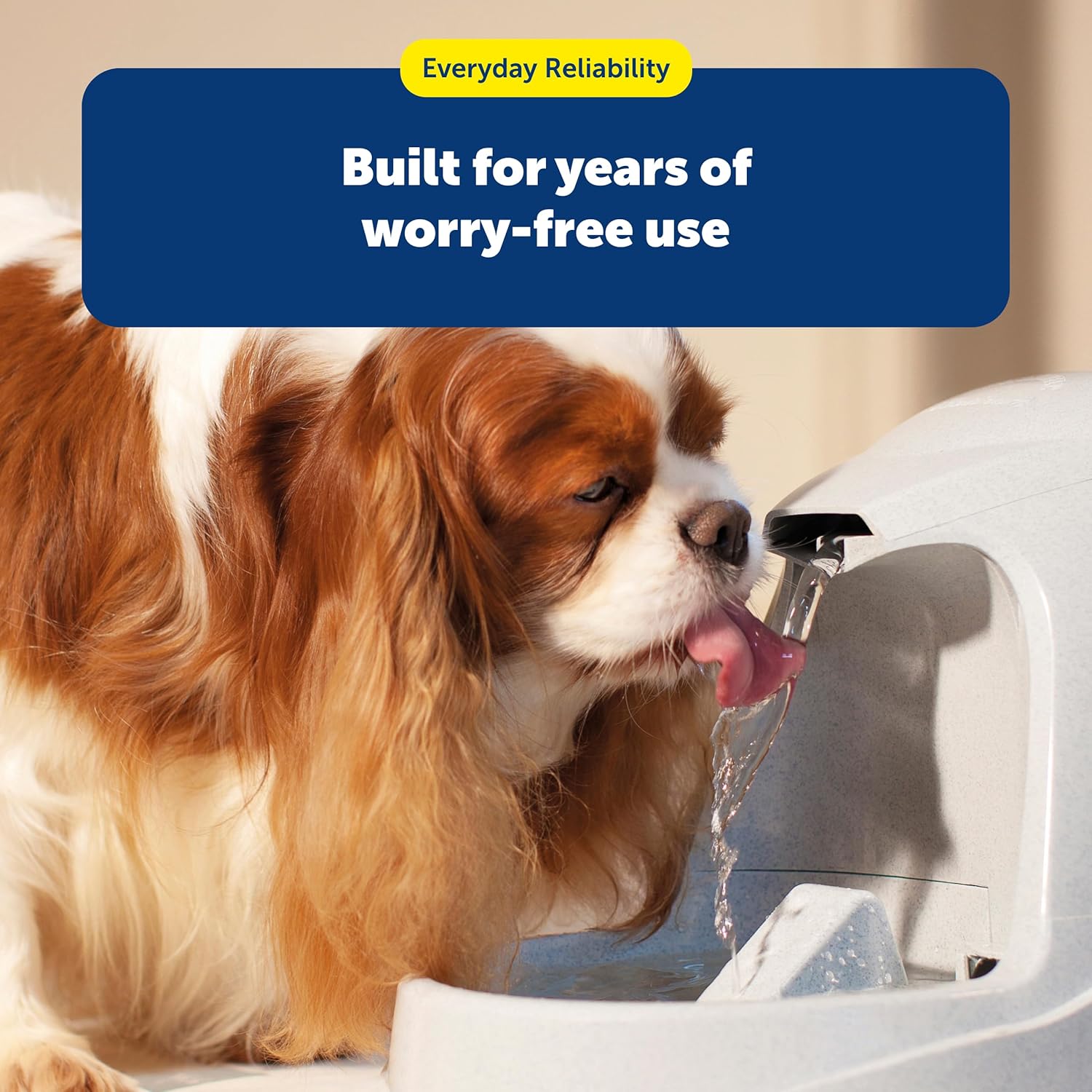 Drinkwell Premium Replacement Carbon Filters, Dog and Cat Water Fountain Filters, Pack of 12