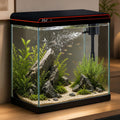 10 Gallon Fish Tank, Betta Fish Tank Smart Aquarium Kit 100% Glass Material