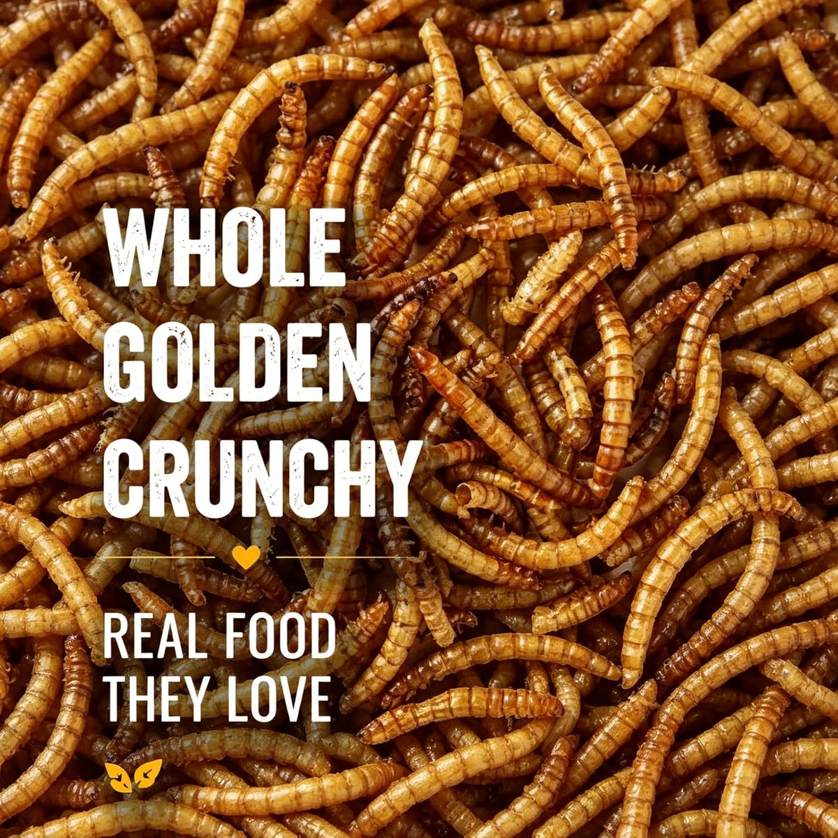 5LB Dried Mealworms for Chickens, Ducks & Wild Birds, High Protein Treat
