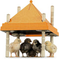 Chick Brooder Heating Plate with Anti-Roosting Cone Cover, 10" x 10" Brooder Heater for 10-12 Chicks, Adjustable