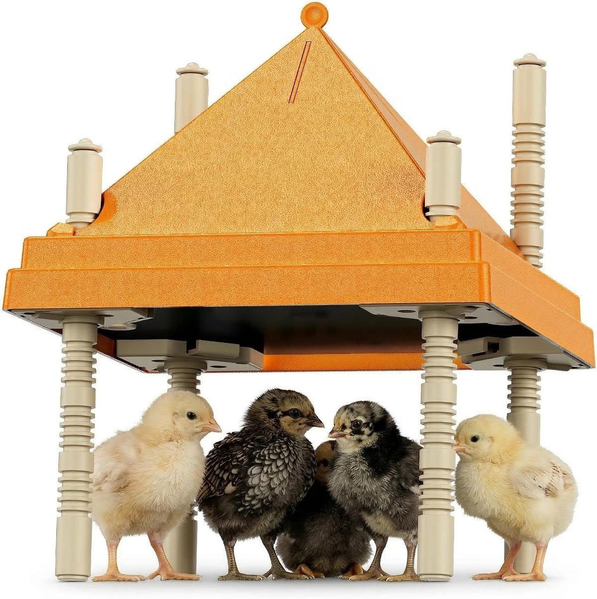 Chick Brooder Heating Plate with Anti-Roosting Cone Cover, 10" x 10" Brooder Heater for 10-12 Chicks, Adjustable