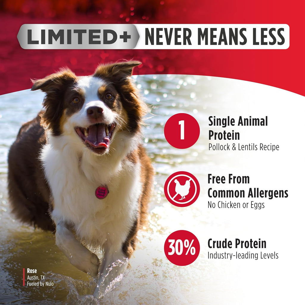FreeStyle Limited Ingredient Dry Dog Food - High Protein Salmon Recipe, Natural Grain Free Dog Food for Puppies &