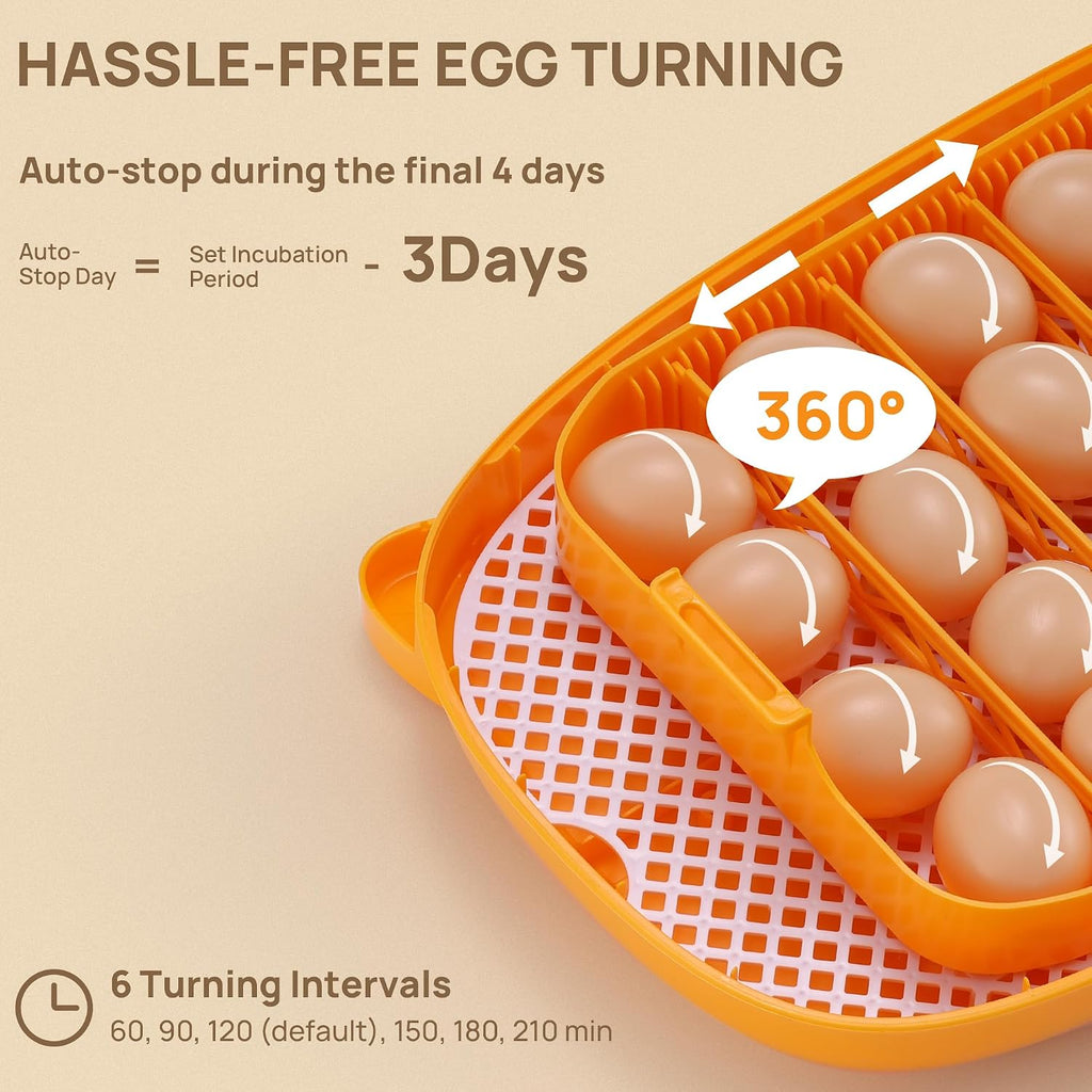 Incubator for Hatching Eggs, Automatic Turning, Temperature & Humidity Control, Built-in Candler, 360° Viewing, 24