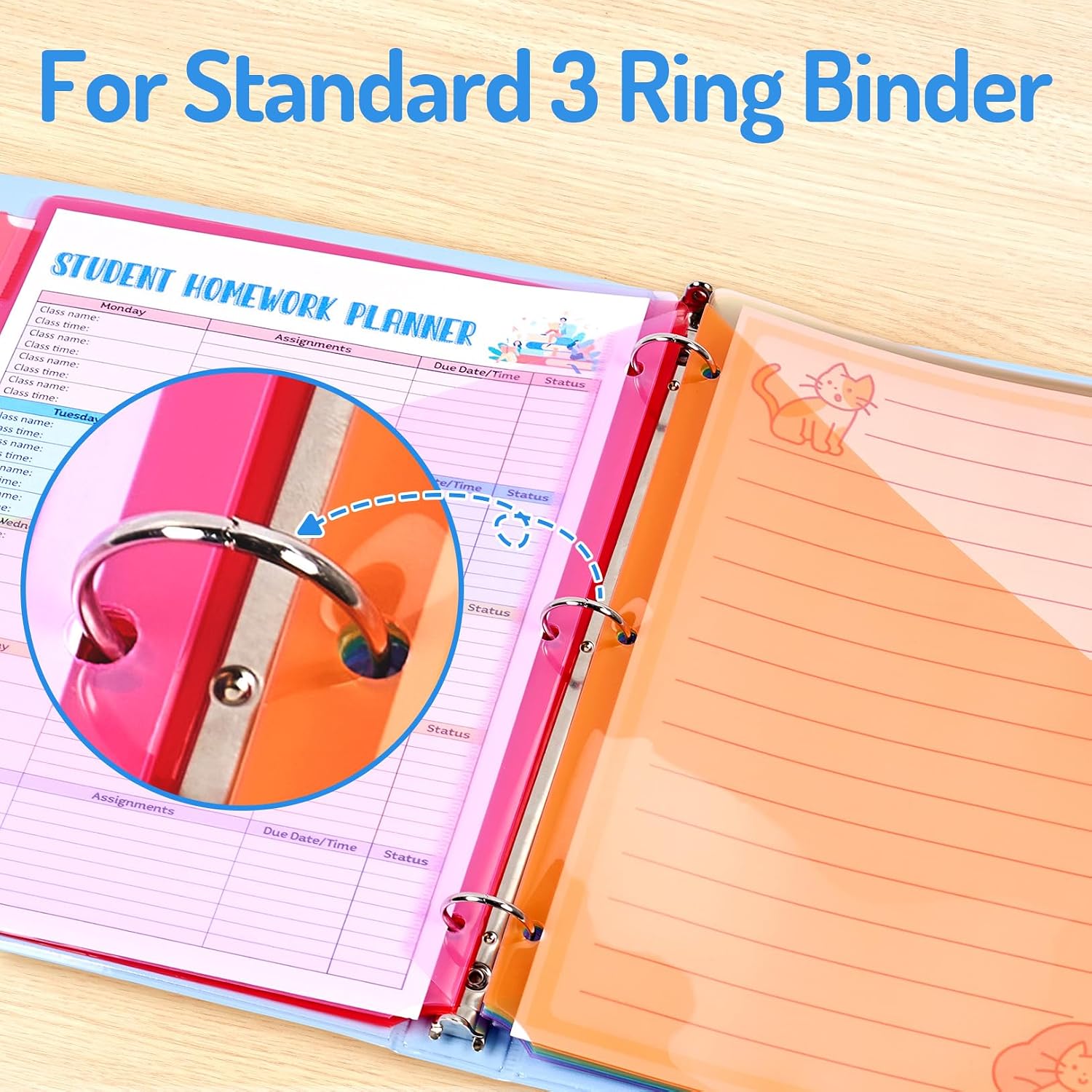 24 Count Binder Dividers with 2 Pocket, 8 tab Dividers for Binder | Dividers for 3 ring Binder Organizer, Binder