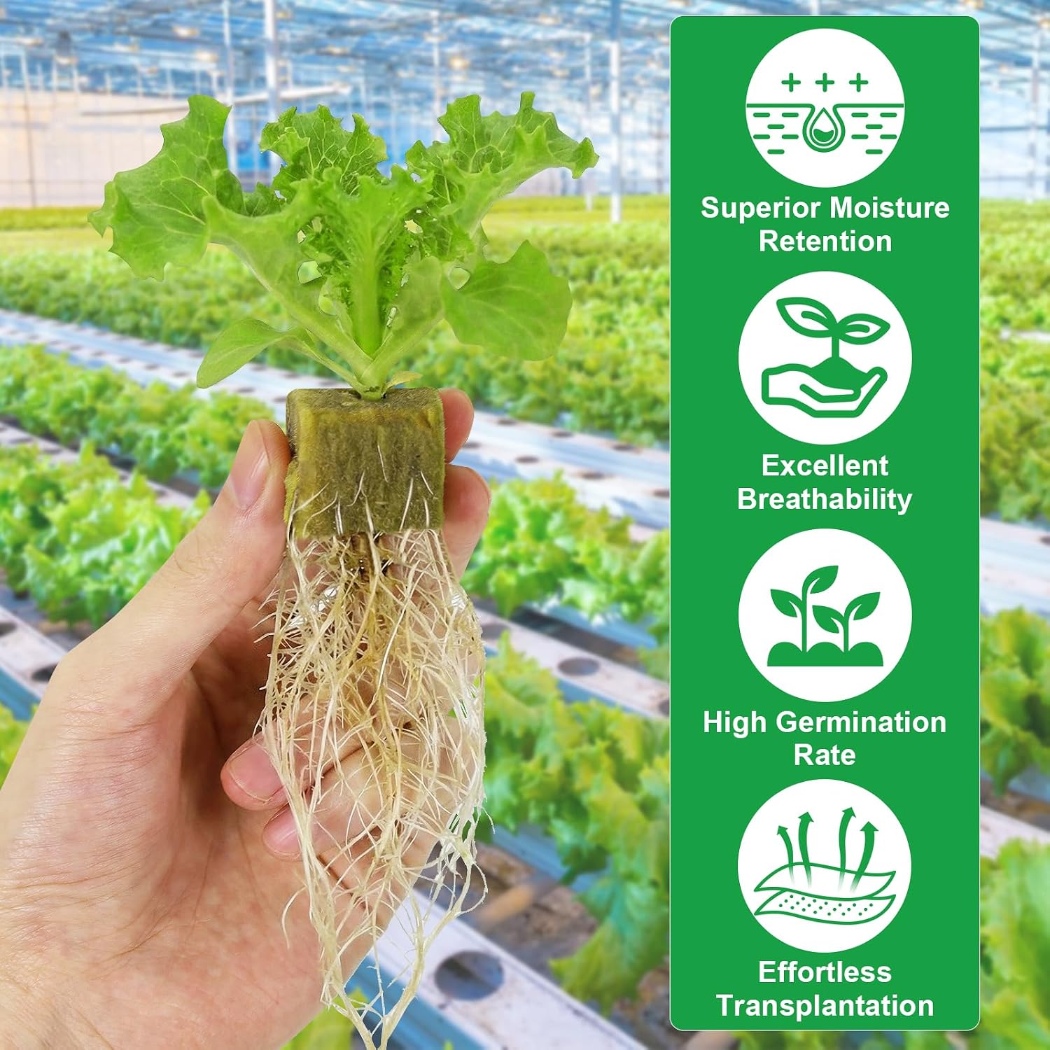 Rockwool Cubes 1 Inch – 100 Pack Premium Rock Wool Planting Cubes for Hydroponics, Seed Starting, Cloning & Cuttings