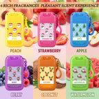 12 Pcs Christmas Travel Size Hand Sanitizer Spray Keychain, 1 fl oz