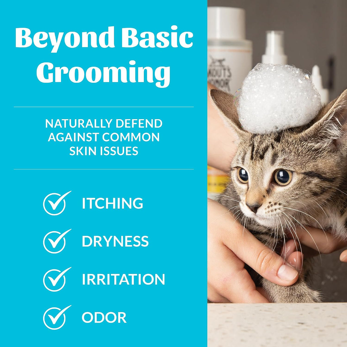 Probiotic Cat Shampoo and Conditioner, 16 oz