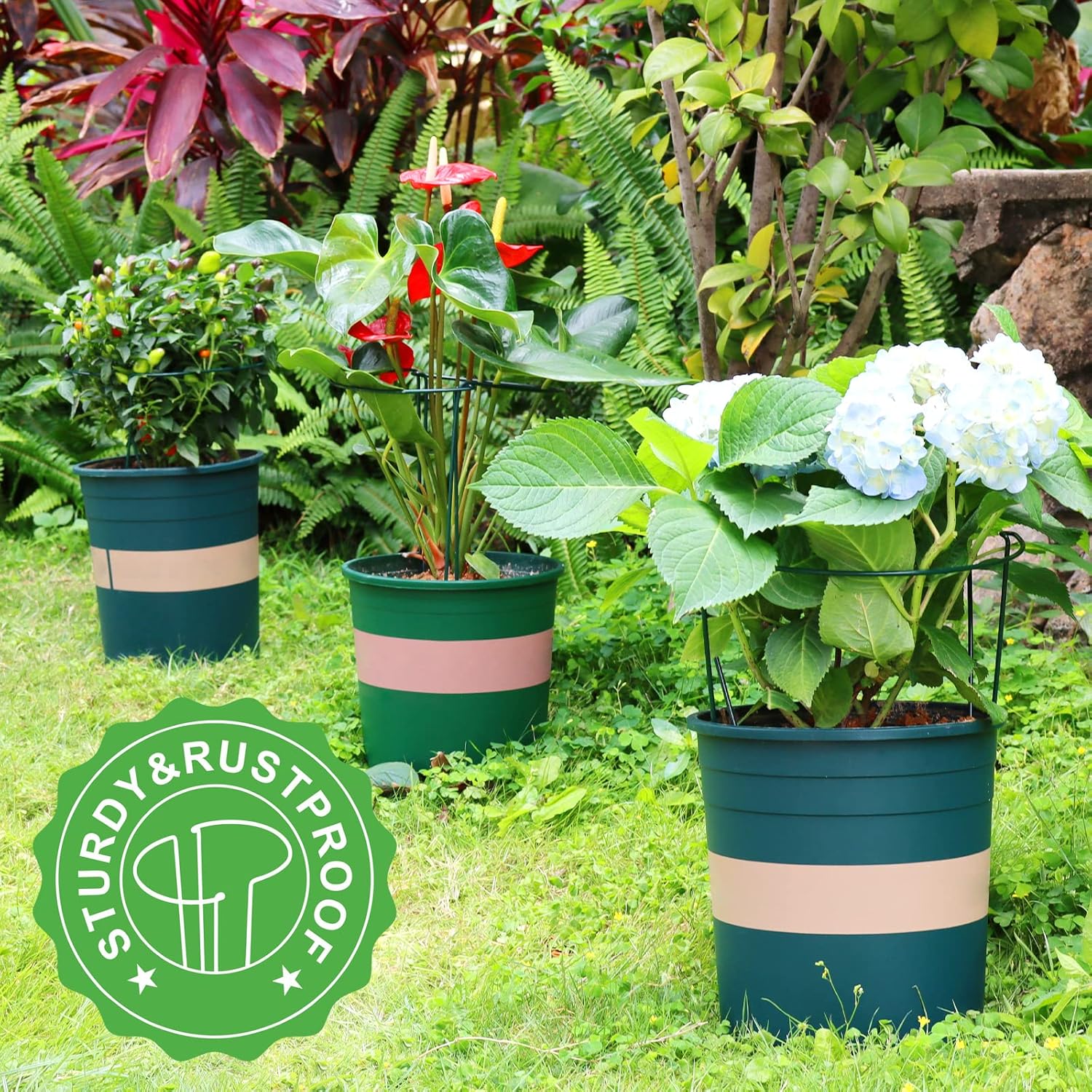 Plant Support Plant Stakes, 6pcs Peony Cages and Supports, Metal Garden Stakes Plant Supports, Plant Support Stakes