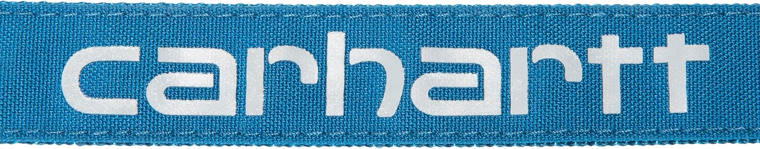 Pet Durable Nylon Duck Leashes for Dogs, Reflective Stitching for Visibility, Marine Blue, Large