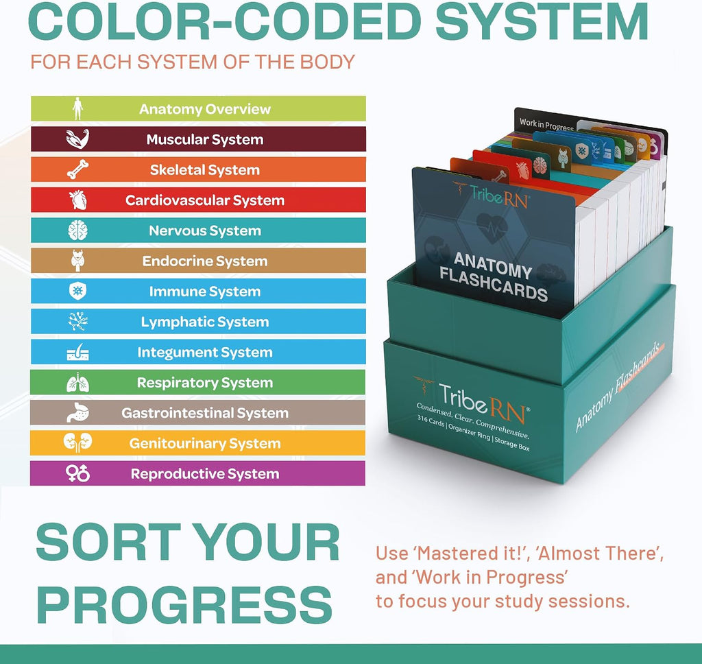 TribeRN Anatomy and Physiology Flash Cards – 320 Study Resources for Students – Human Anatomy & Physiology Study