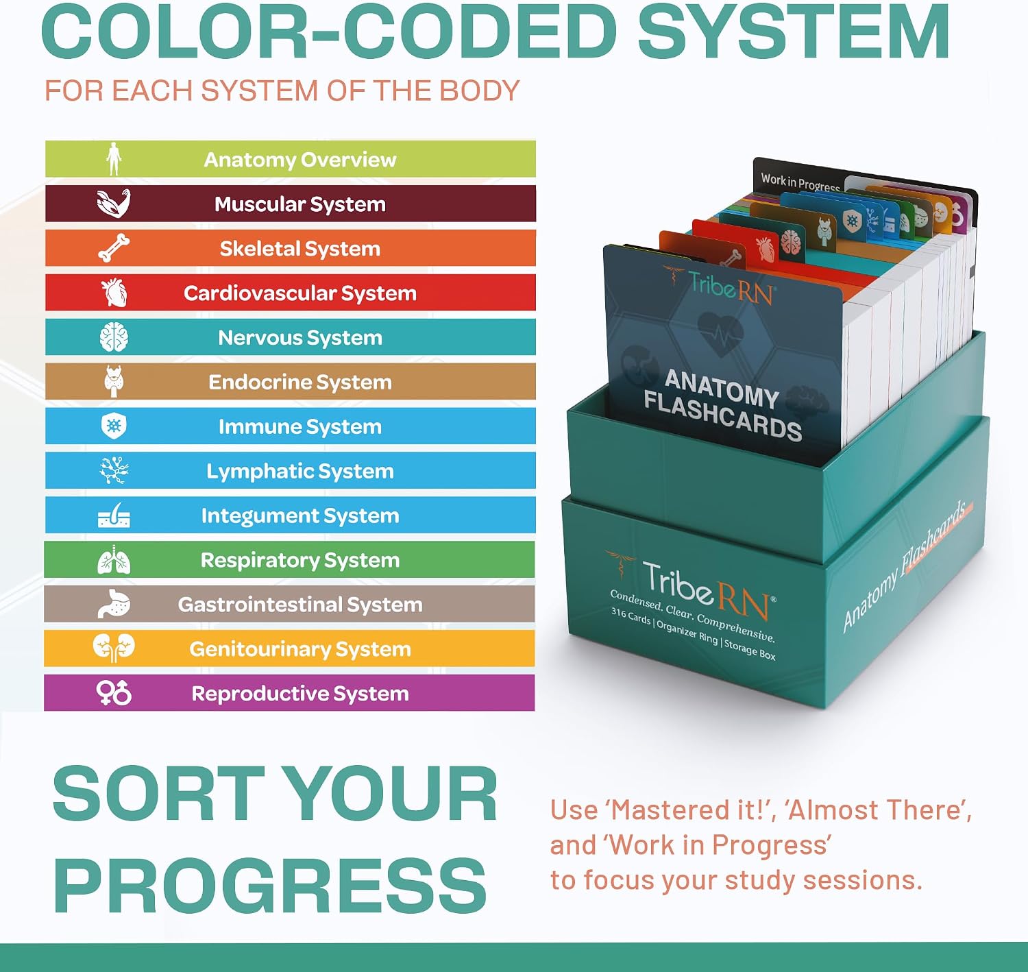 TribeRN Anatomy and Physiology Flash Cards – 320 Study Resources for Students – Human Anatomy & Physiology Study