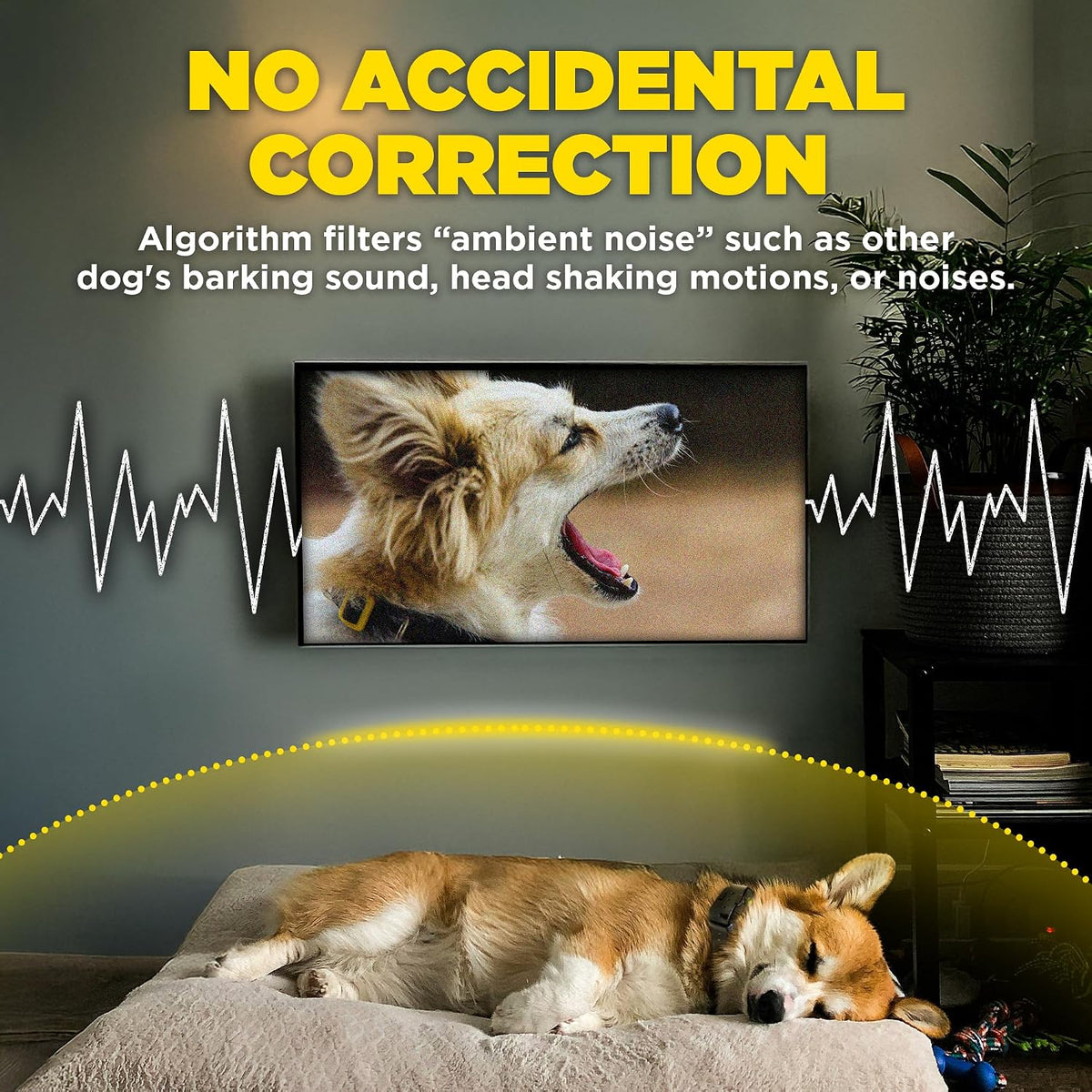 Smart NOBARK Detects Whining and Barking, 33 ft Range App for Notifications, E-Collar, Behavior Report, Waterproof
