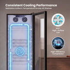 12.2 Cu.Ft Commercial Refrigerators with Double-Layer Glass Door