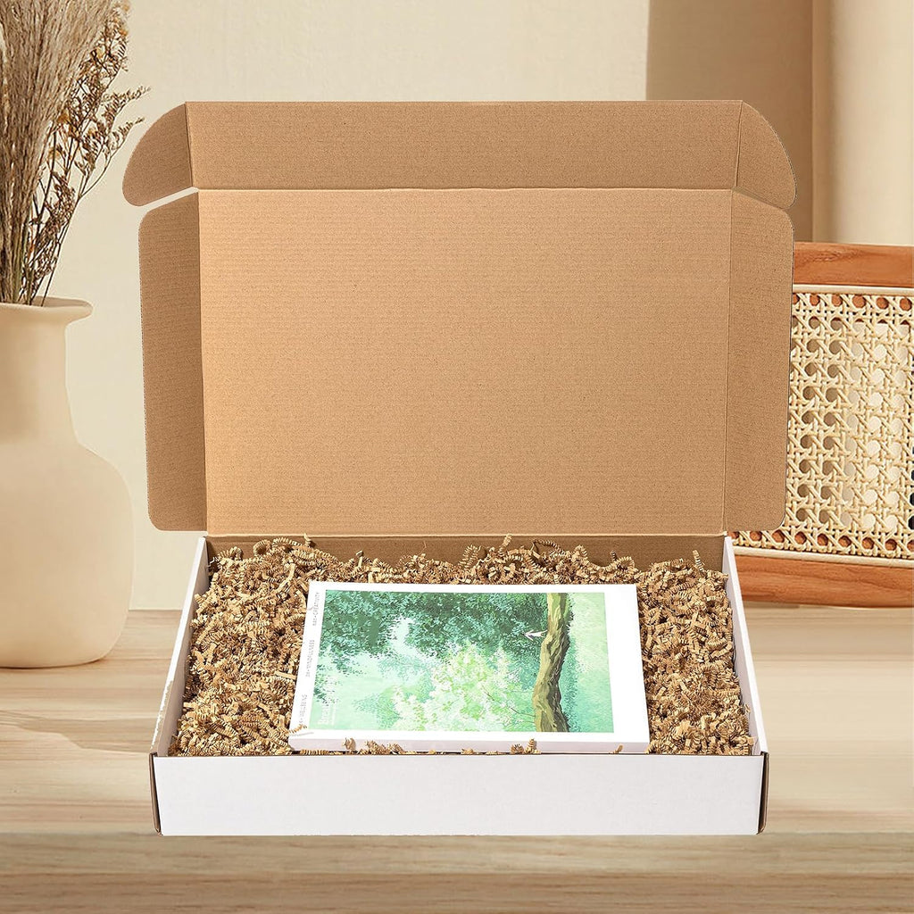 17x11x3" Shipping Boxes 20 Pack White Corrugated Cardboard Box | 3 Layers, Medium Literature Mailer Packaging