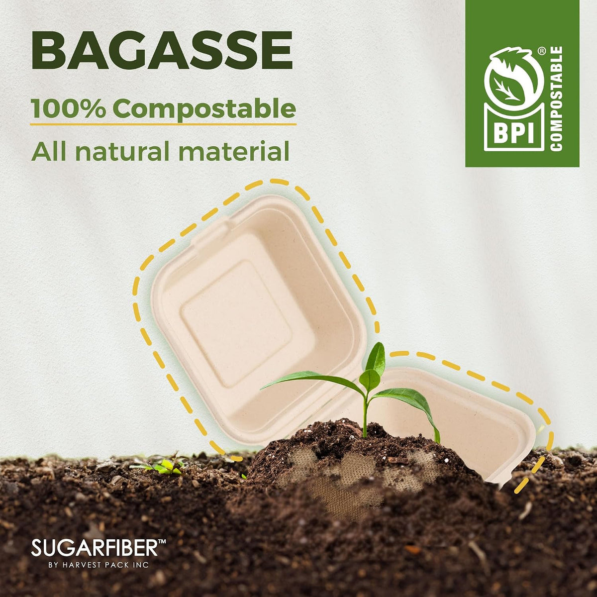 9X6 inch Compostable White Clamshell Take Out Food Containers togo boxes