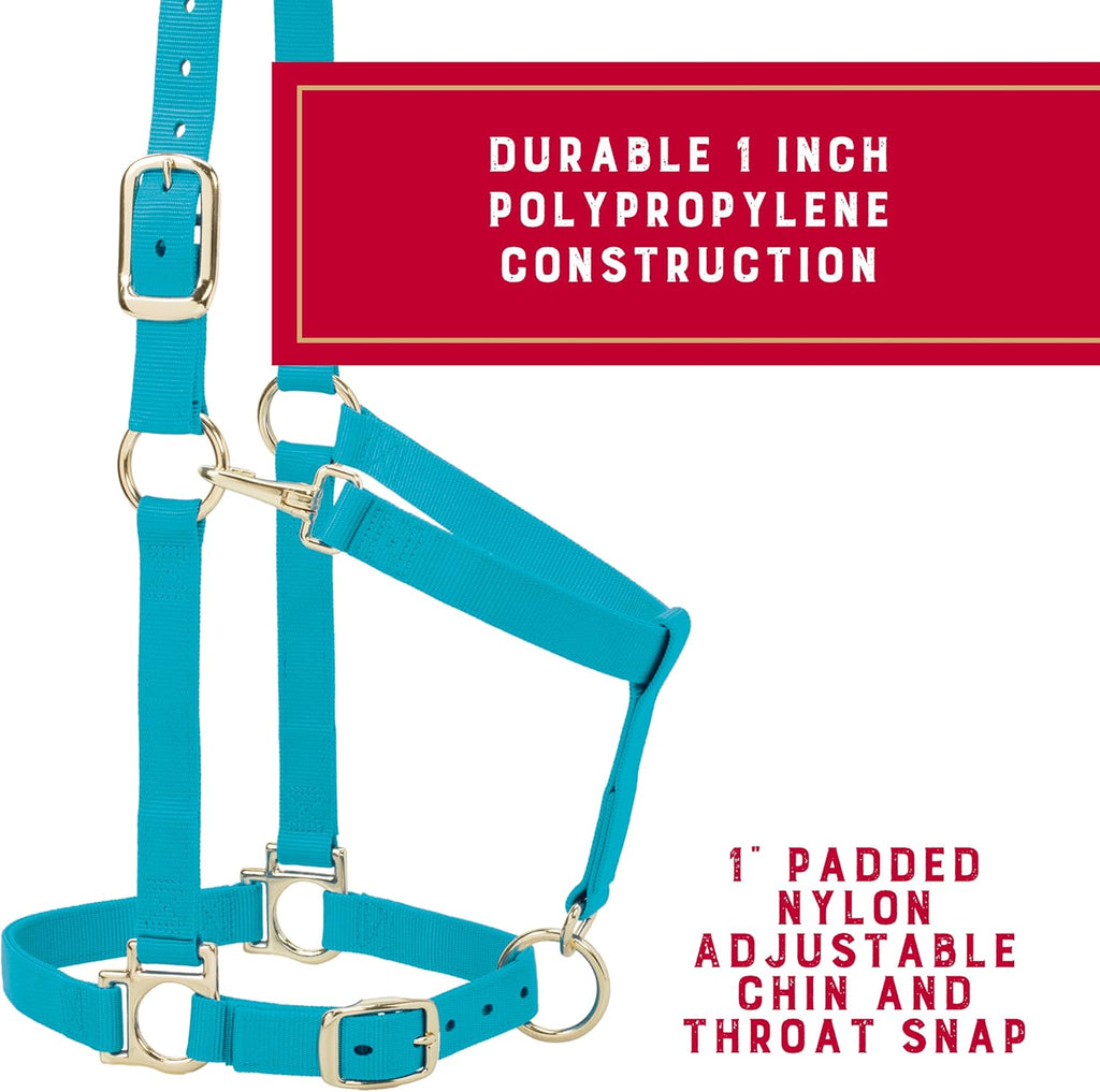 Nylon Horse Halter, Average Horse, Padded & Adjustable, 1 in
