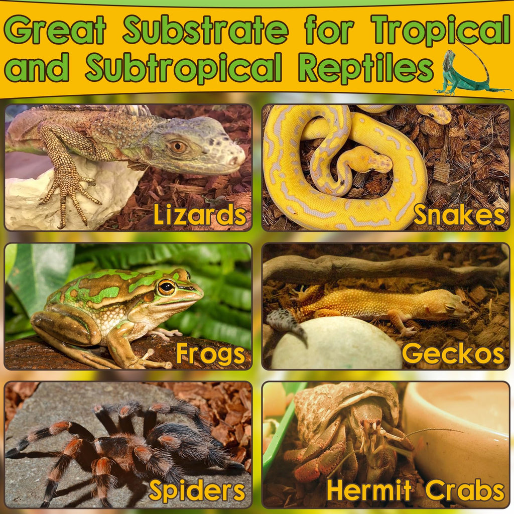 Organic 10LB Coconut Husk for Reptiles