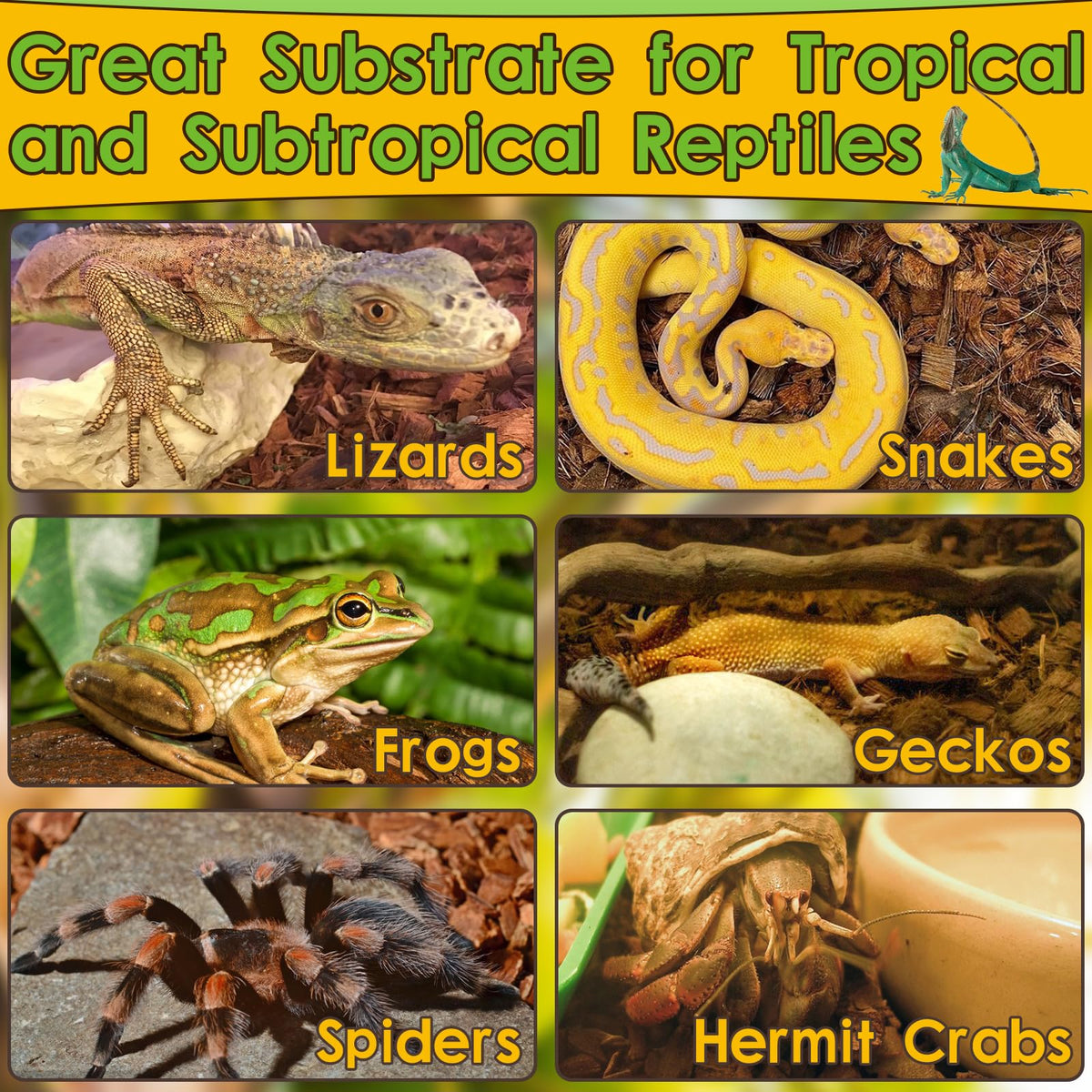 Organic 10LB Coconut Husk for Reptiles