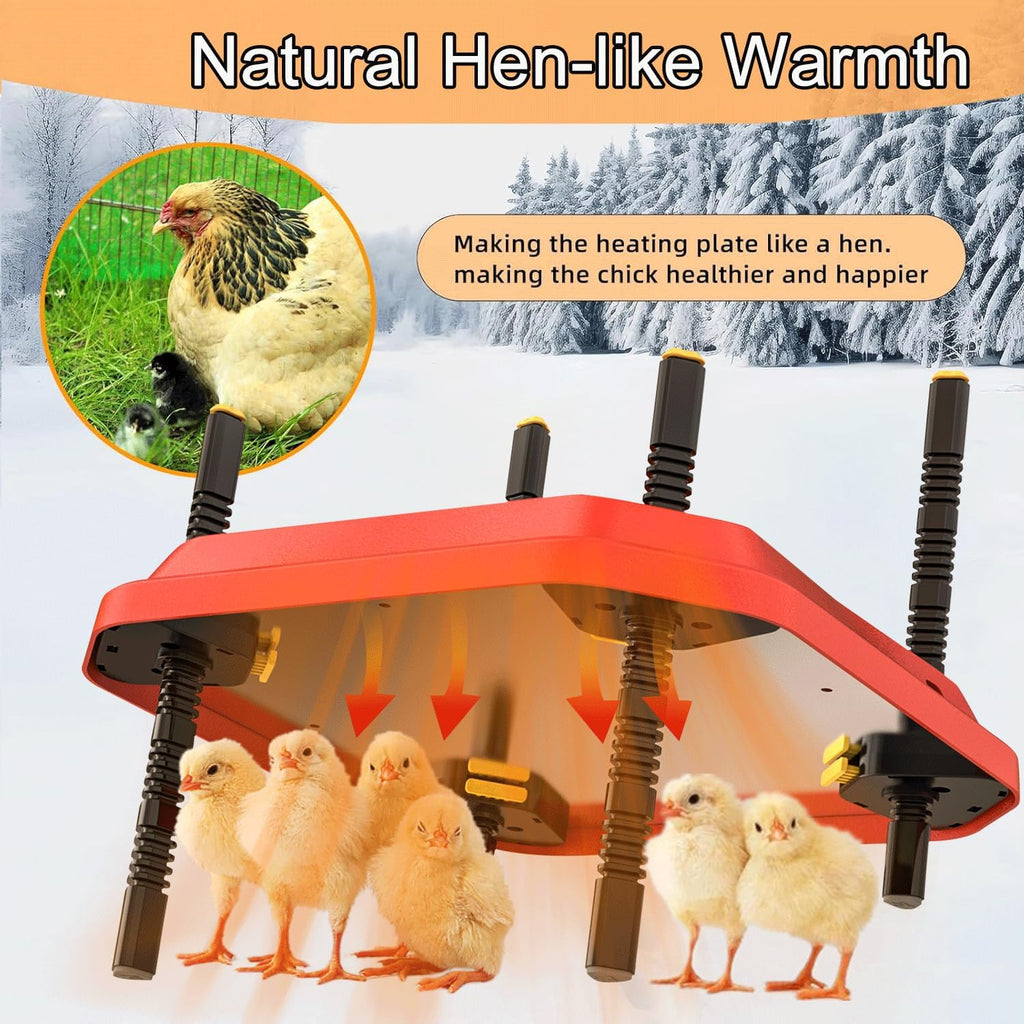 Chick Brooder Heating Plate, Brooder Heater for Chicks, Adjustable Temperature Height Adjustable Brooding Heater