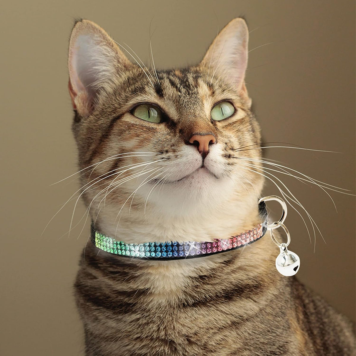Breakaway Cat Collar with Bells, 3 Pack Rhinestone Pet Collars