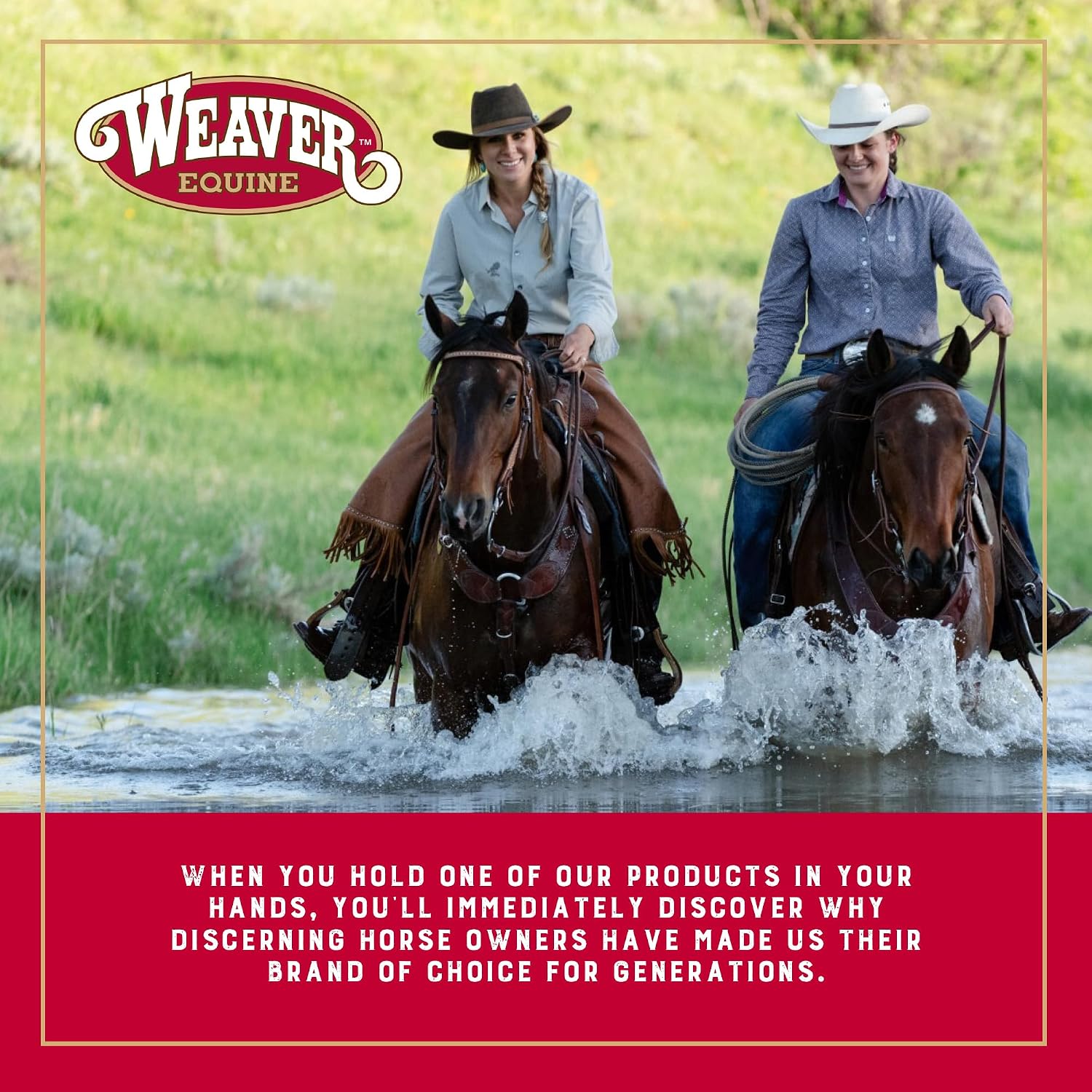 Adjustable Surcingles for Horses with Shock-Absorbing Neoprene, Brass Plated Buckles & Dee Rings for Side Reins, Fits