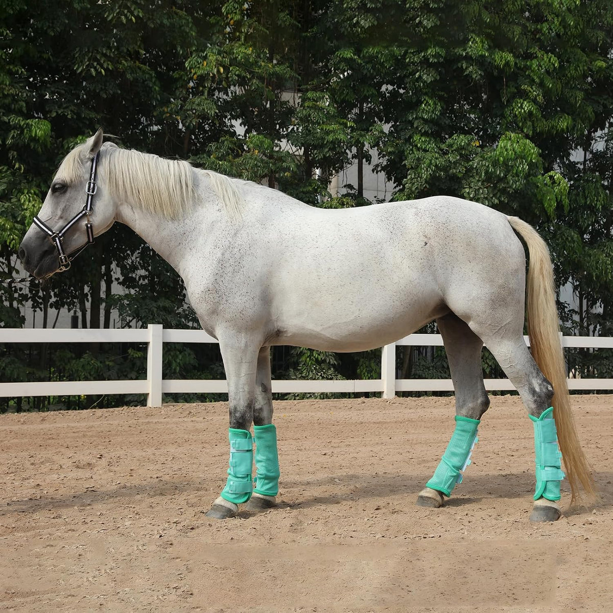 Horse Fly Boots Set of 4, Breathable Mesh Fly Boots for Horses