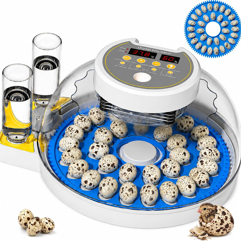 32 Quail Egg Incubator for Hatching Eggs, Dual Power Supply, Automatic Egg Turner, Humidity & Temperature Monitor
