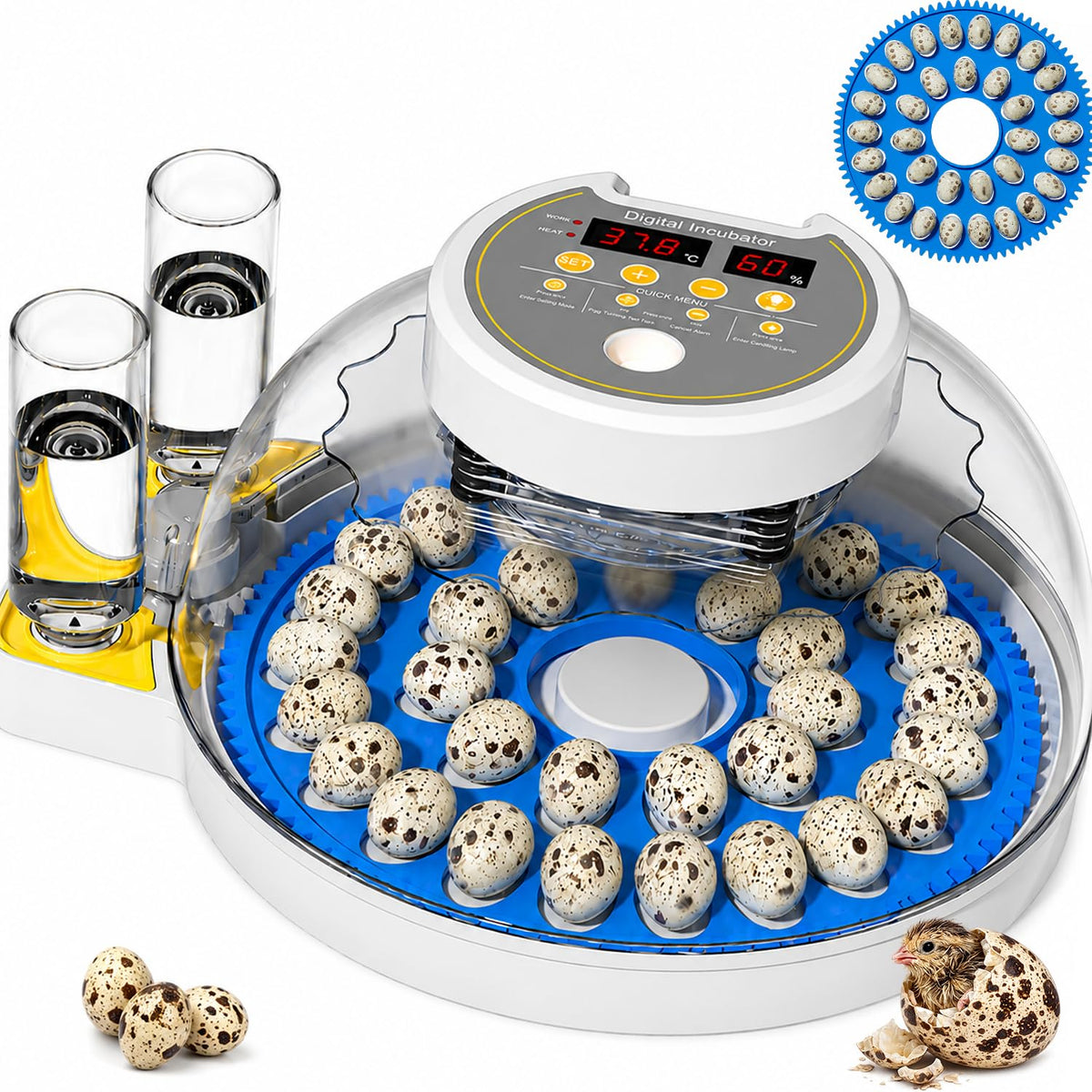 32 Quail Egg Incubator for Hatching Eggs, Dual Power Supply, Automatic Egg Turner, Humidity & Temperature Monitor