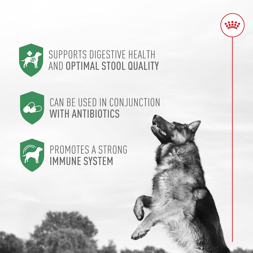Probiotics for Dogs Digestive and Immune Health Powder Supplement for Dogs of All Ages, 30 Count