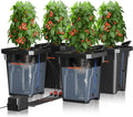 DWC Hydroponics Growing System Kit 4 Buckets for Indoor Plant | 7-Gallon Deep Water Culture, New Triangular Cover