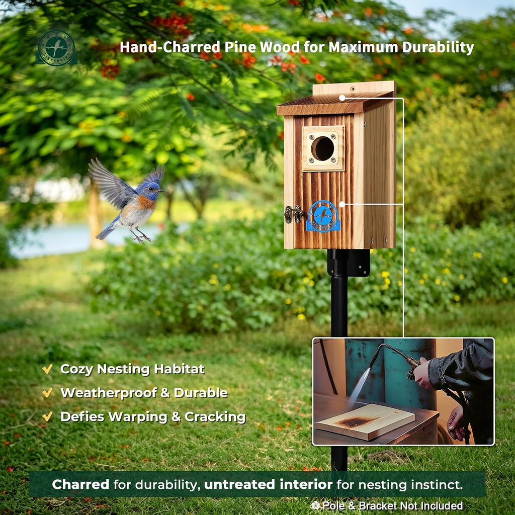 2 Pack Bluebird House, Premium Blue Bird House, Warming Gifts