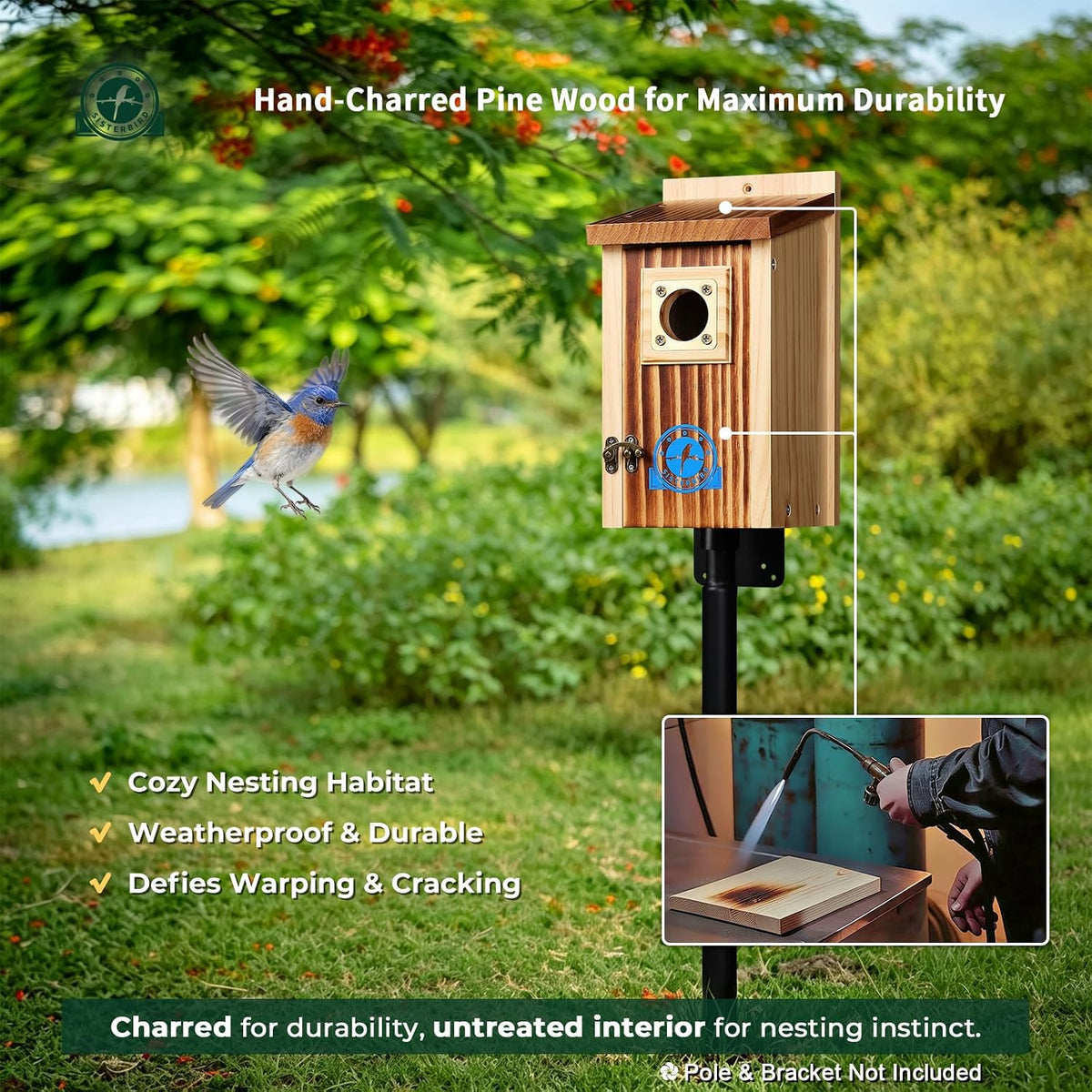 2 Pack Bluebird House, Premium Blue Bird House, Warming Gifts