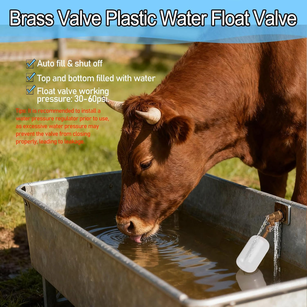 3/4 Inch Float Valve, Water Level Control Auto Fill Valve