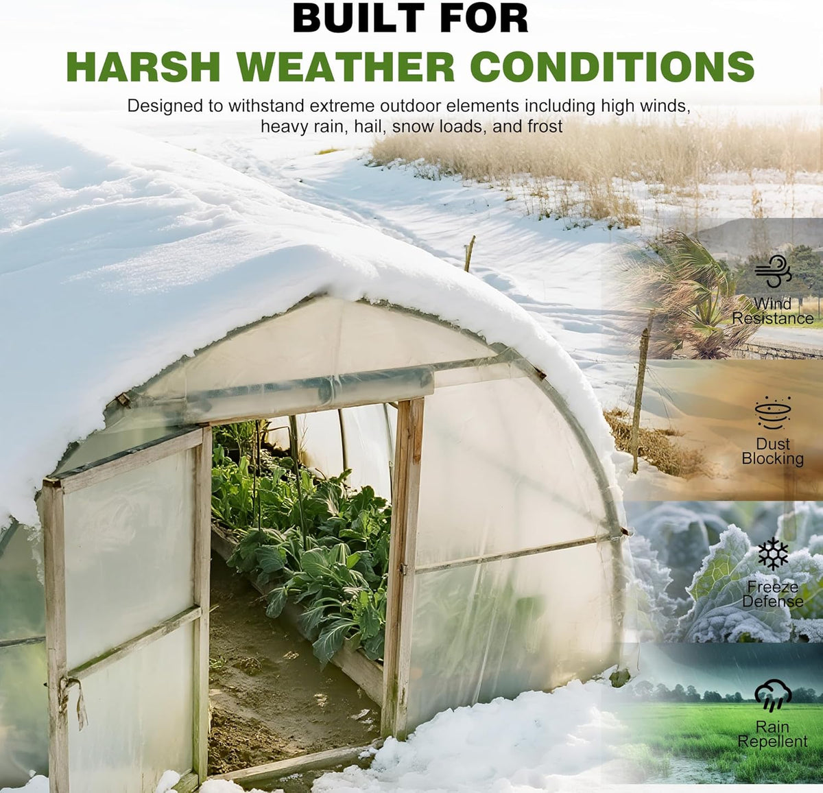6 Mil Plastic Sheeting, 12x25 FT, Greenhouse Plastic,Heavy Duty | UV Resistant, Tear-Resistant,Waterproof