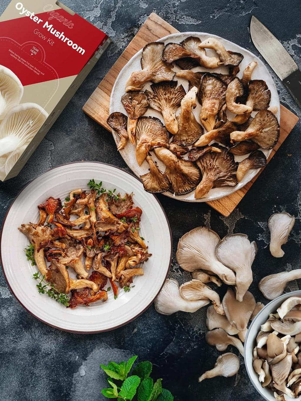 Organic Oyster Mushroom Growing Kit with Spray, Harvest Fresh Mushrooms at Home, Beginner Friendly & Easy to Use