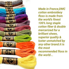 DMC Embroidery Floss Set,Special Selection Pack Bundle with Needles Size24.