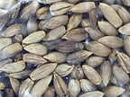 1lb Sterilized Rye Berry Grain Mushroom Substrate Bag for Mushroom Cultivation and Making Grain Spawn
