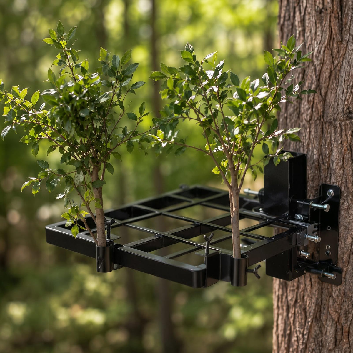 6 Pack Metal Hunting Tree Stand Branch Holders Adjustable Bracket