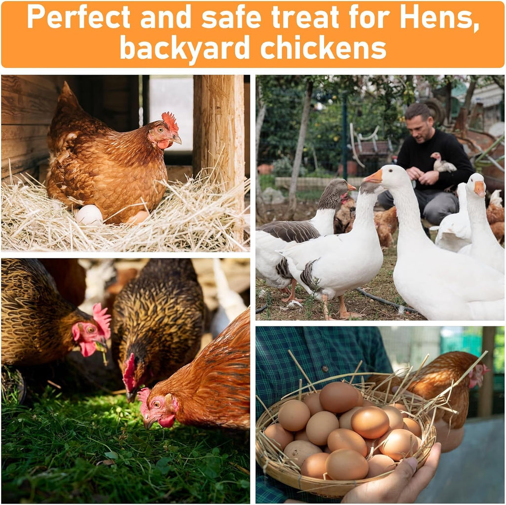 10oz Chicken Nesting Herbs - Dried Herbs Supplement for Laying Hens | Natural Chicken Treats for Nutritious Feeding