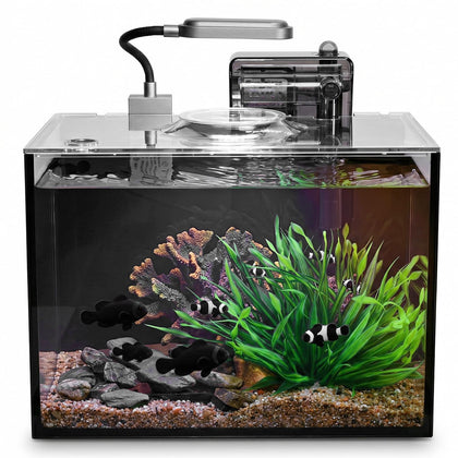 2 Gallon Small Aquarium Set Glass Fish Tank,Desktop Small Aquarium Kit for Beginners and Children to Keep Betta Fish
