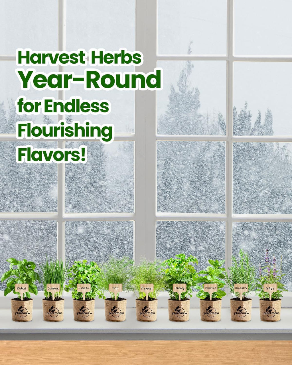 Gift for Women, Mom, Her – 9 Herb Indoor Window Garden Kit | Complete Herb Seeds Starter Set with Pots, Soil, Tools &