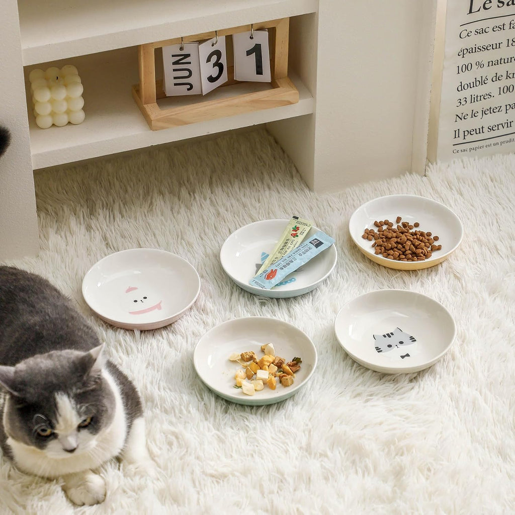 Ceramic Cat Bowls Set - 5.7 inch Wide Cat Food Bowls Whisker Fatigue Friendly, 5 Colorful Kitten Dish Plates with