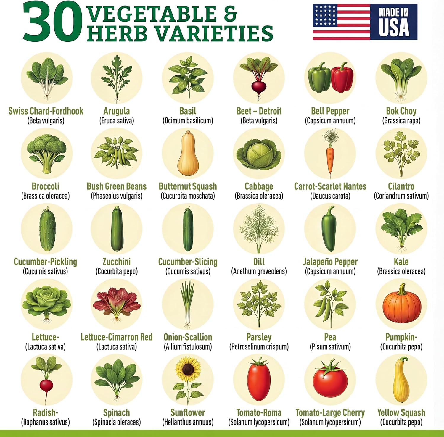 Culinary Vegetable & Herb Seeds Variety Pack - 30 Heirloom Non-GMO Garden Seeds for Planting, Seed Kit with Tools