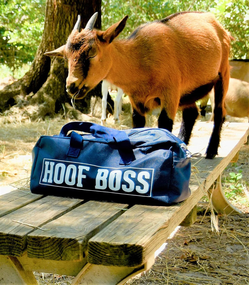 Goat Hoof Trimmers Kit, Basic 110V Electric Set with Supplies