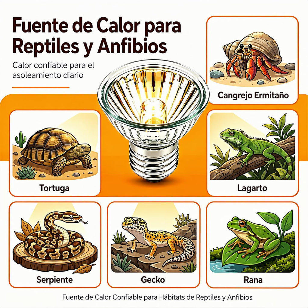 4-Pack 50W Reptile Heat Lamp Bulb, UVA UVB Full Spectrum Turtle Basking Bulb, Reptile Habitats Tank Accessories
