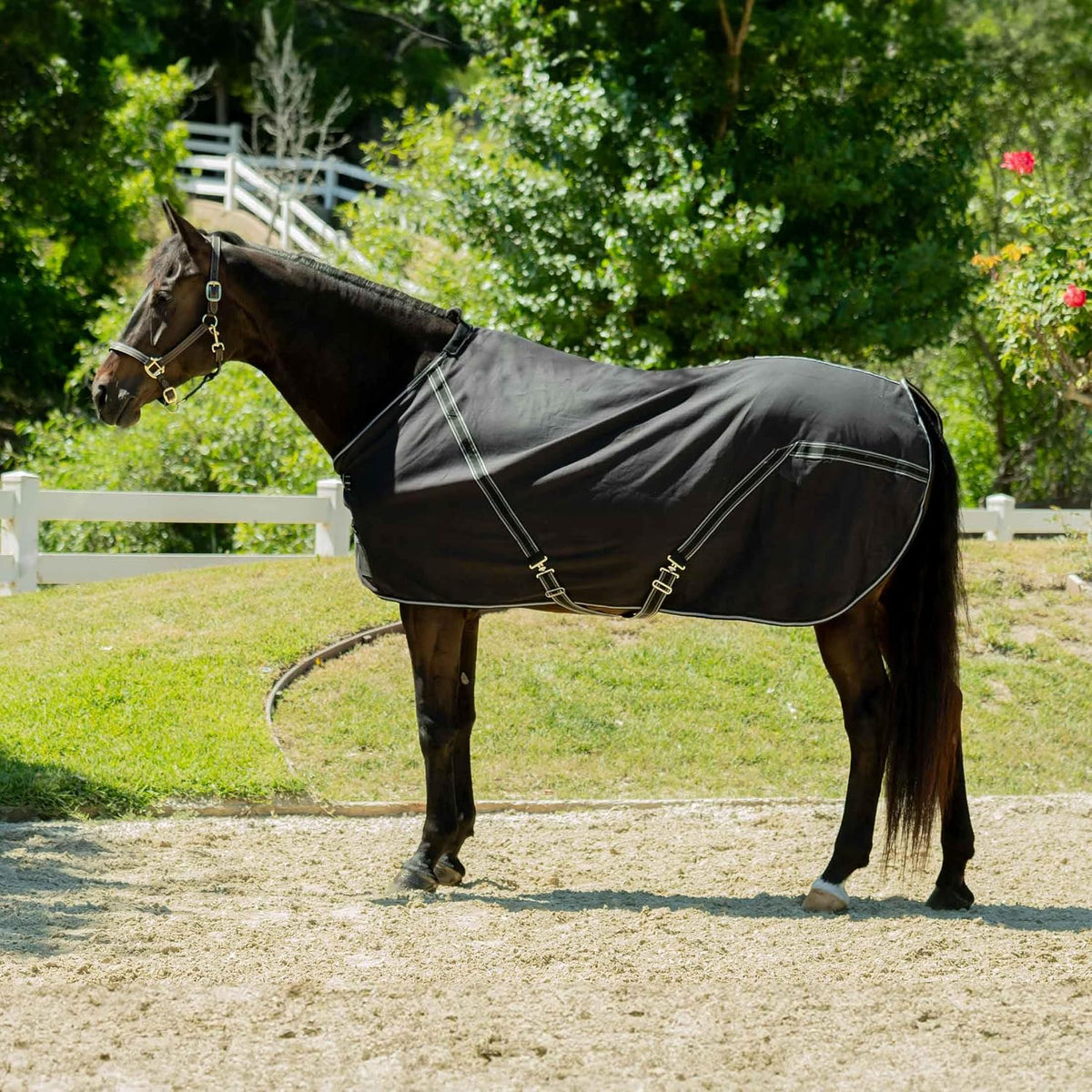 Fryd 100% Cotton Stable Blanket for Horses | No Fill - Black - 80 in